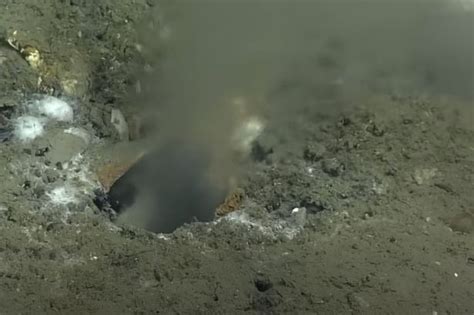 leak in pacific ocean|Giant Hole at the Bottom of the Ocean Is Leaking Strange Liquid。